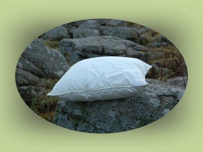 Bornholmerdynen - Hovedpude 700-800g uld