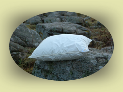 Bornholmerdynen - Hovedpude 5-600g uld